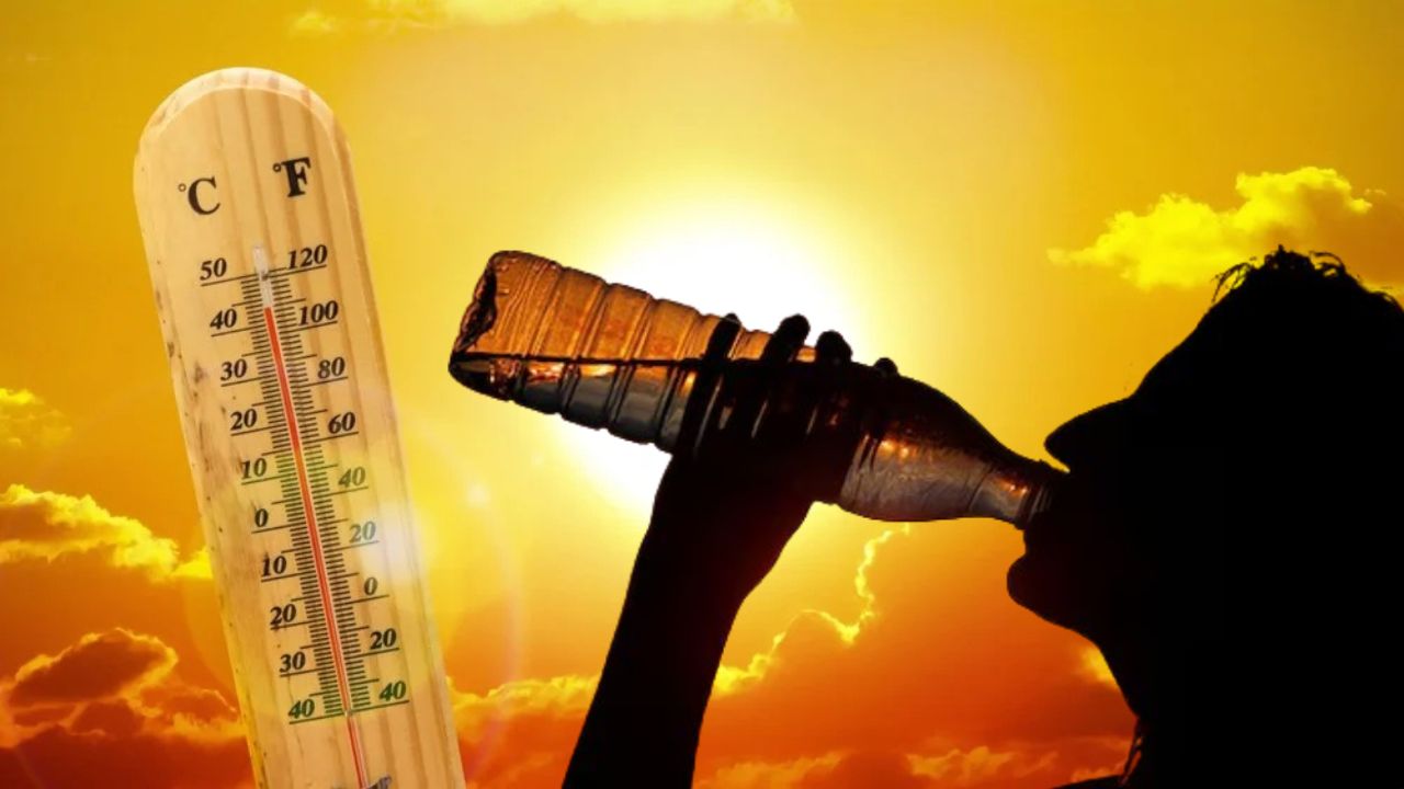 heat wave in Delhi-NCR