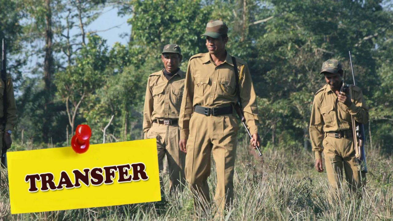 यूपी वन विभाग में बड़ा फेरबदल: 23 DFO के तबादले, जानें किसे कहां मिली तैनाती?