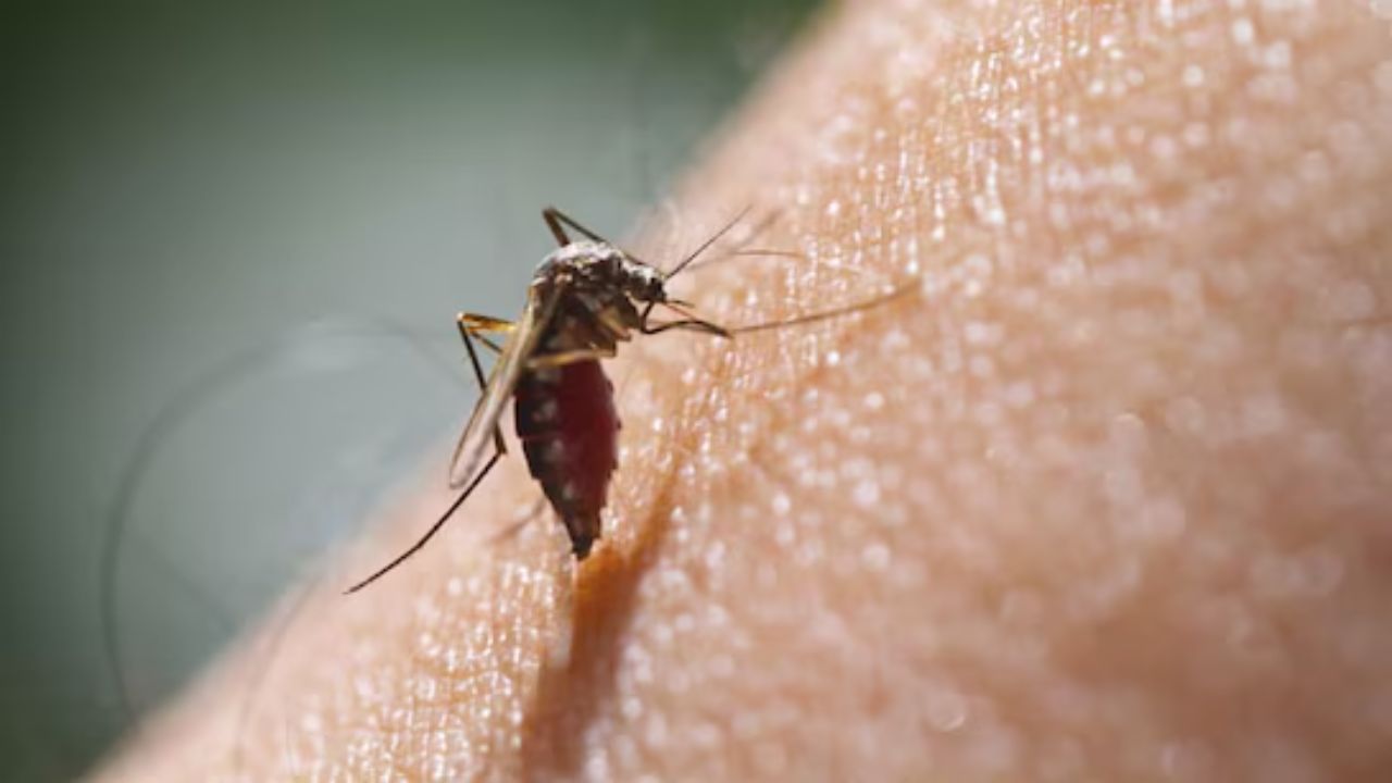 Chikungunya virus is spreading rapidly (Source-Google)