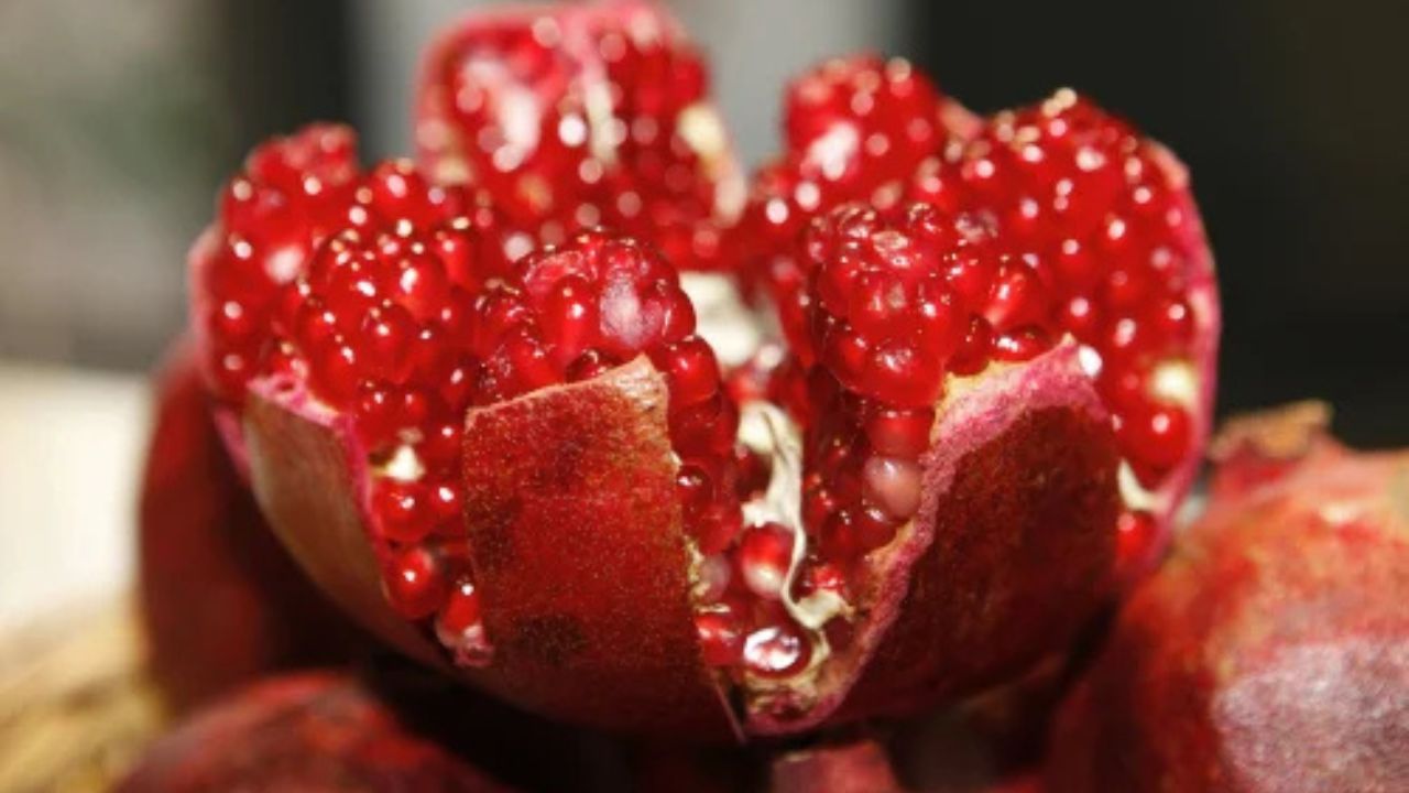 Pomegranate (Source-Google)