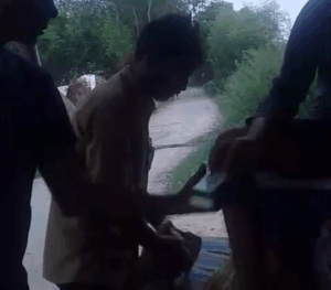 परचून की दुकान पर अवैध रूप से खुलेआम बिक रही शराब, वीडियो वायरल