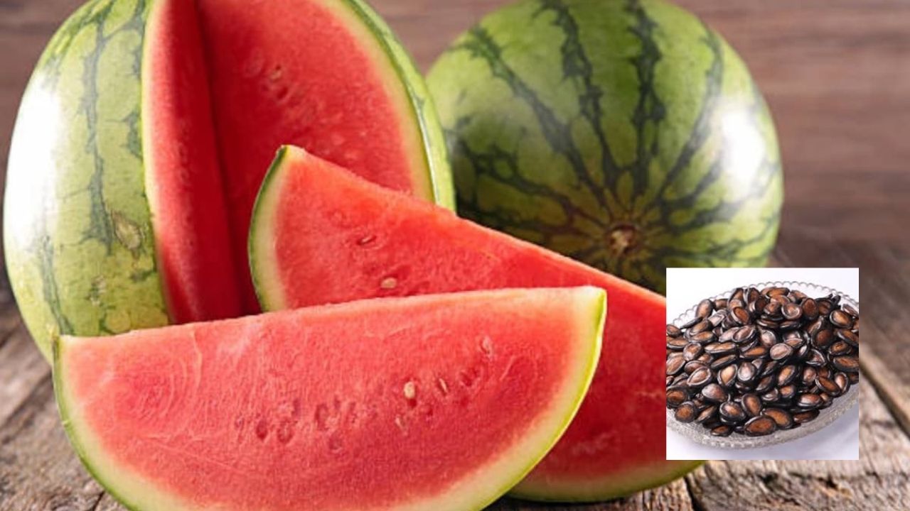 Watermelon Seeds (Source-Google)