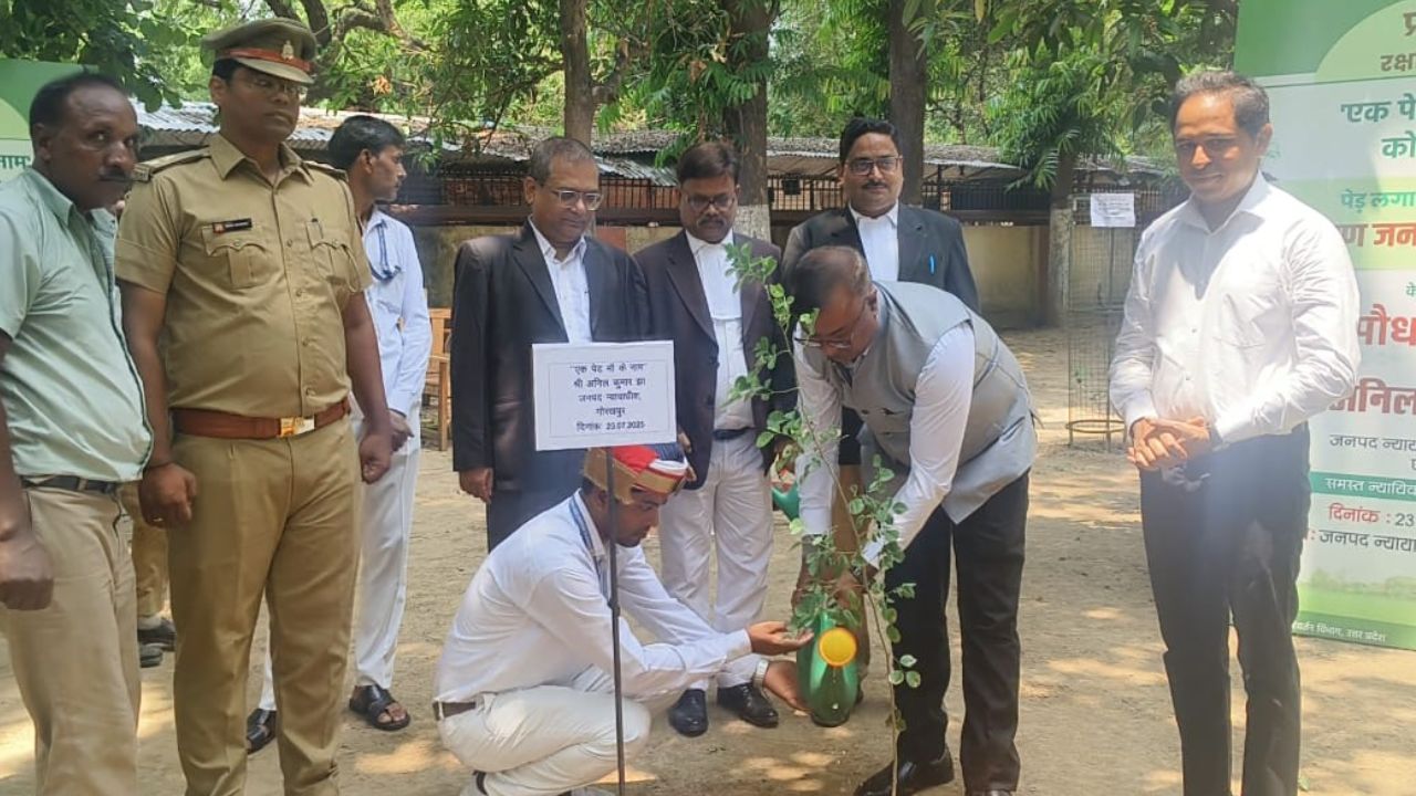 गोरखपुर में “मां के नाम पौधरोपण” से खिला दीवानी न्यायालय, न्यायाधीशों ने दिया हरियाली का संदेश गोरखपुर में “मां के नाम पौधरोपण” से खिला दीवानी न्यायालय, न्यायाधीशों ने दिया हरियाली का संदेश