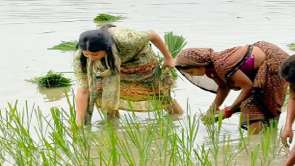 SP MP Priya Saroj