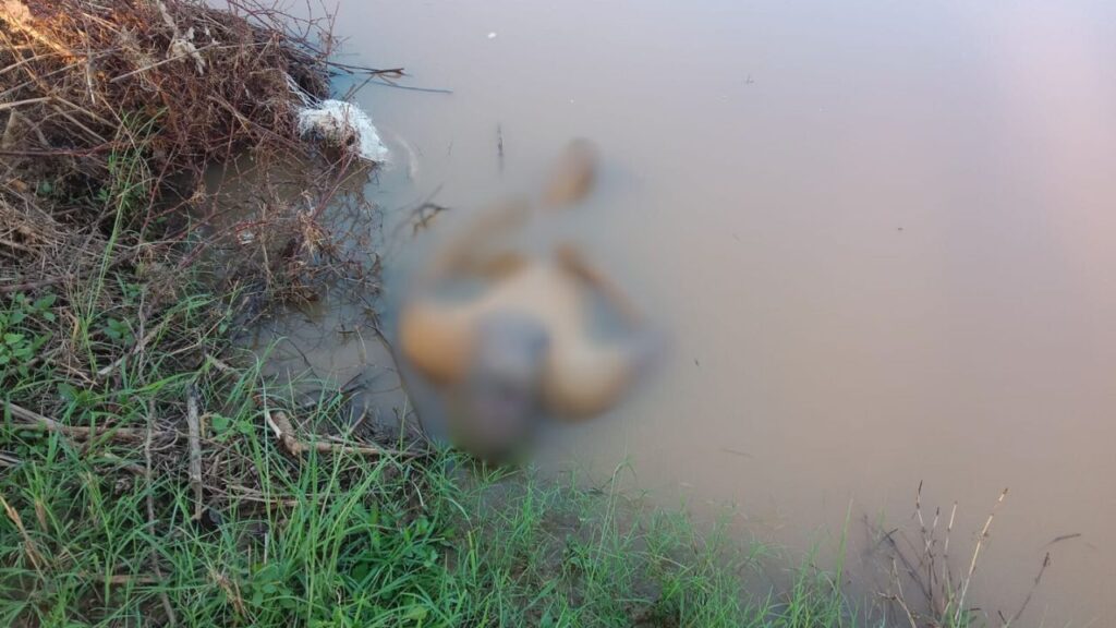 Check Dam Incident Sonbhadra 