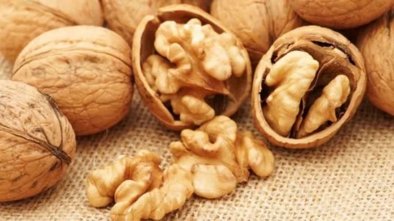 Walnut (Source-Google)
