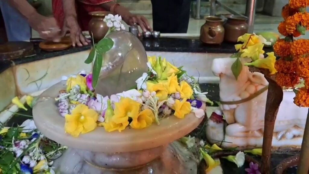 Worship of Shivling (Source-Google)