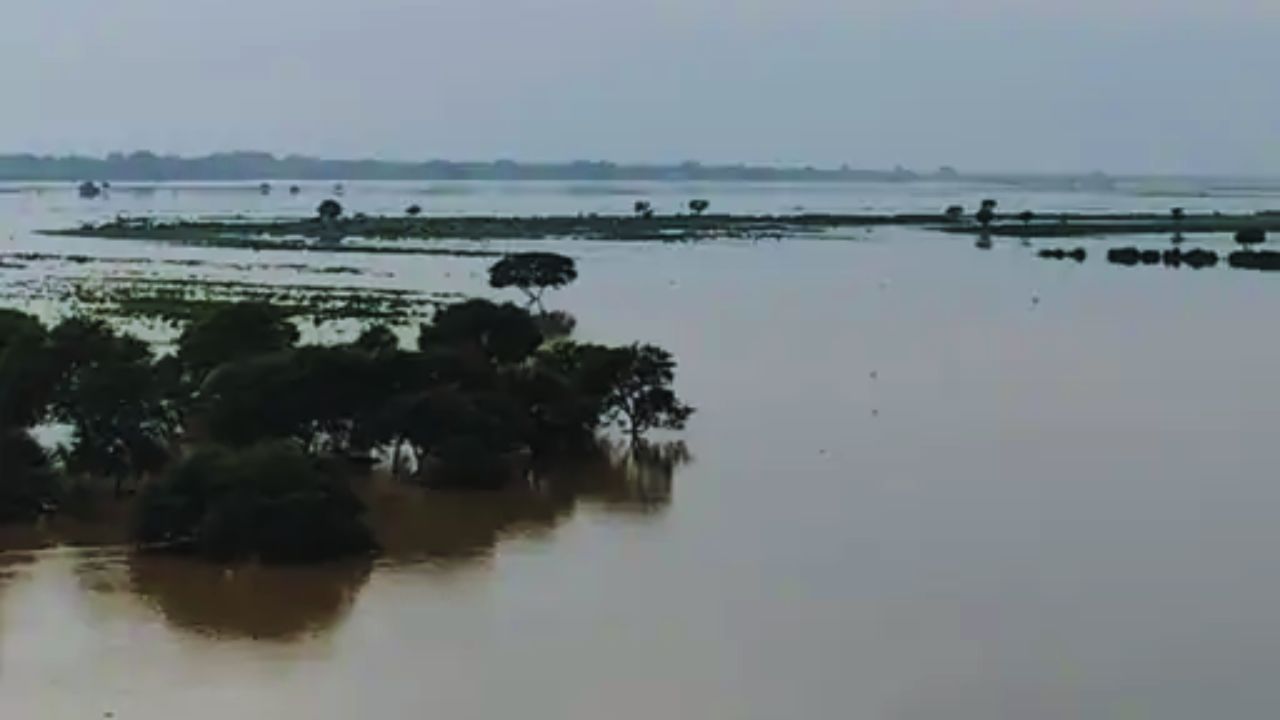 बलिया में गंगा का प्रकोप; खतरे के निशान के ऊपर पहुंचा जलस्तर, मकान और खेत तबाह