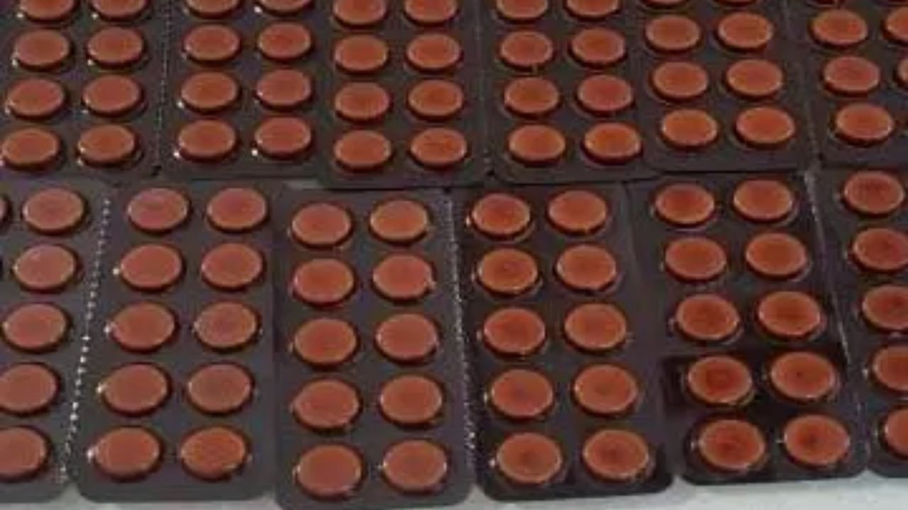 Drugs worth Rs 20 crores unearthed