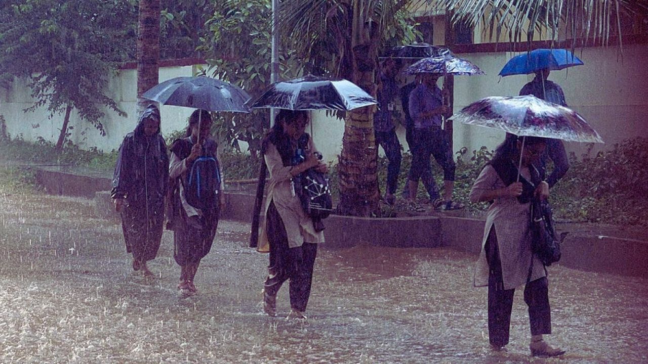 Light to moderate rain in UP