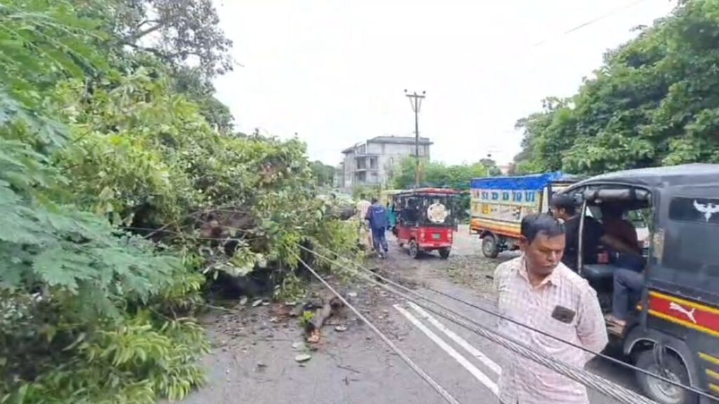 घटना में विद्युत पोल भी क्षतिग्रस्त 