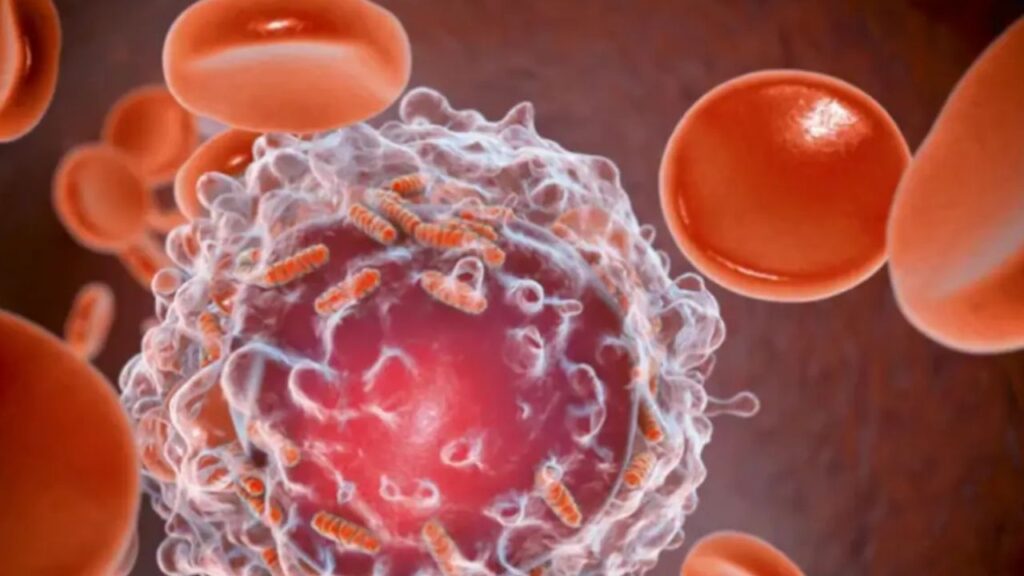 Cancer Treatment Discovery
