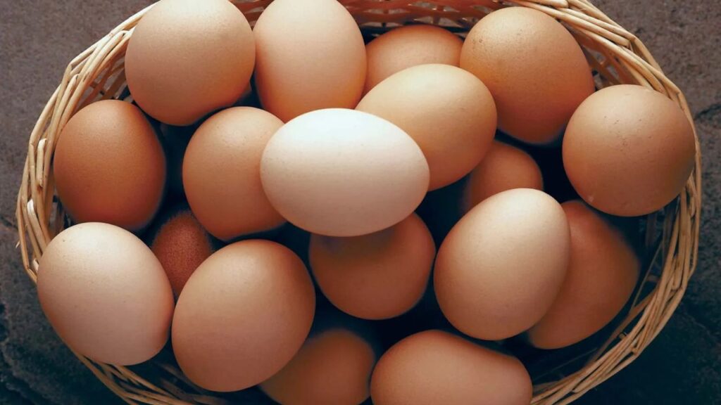 America bought eggs from Russia after 32 years
