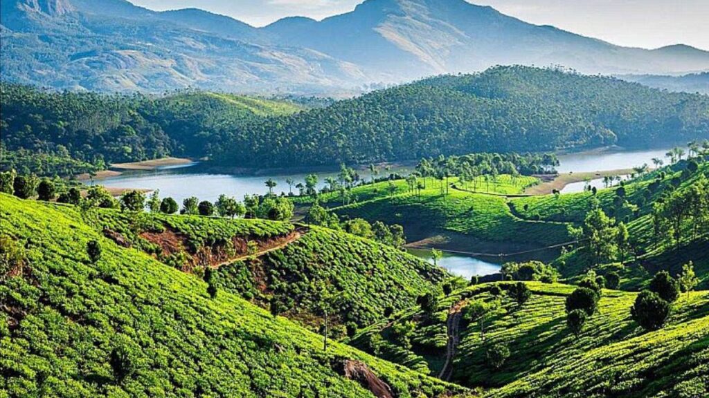 Munnar (Img: Google)
