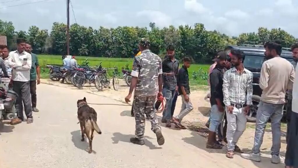 Police started searching with dog squad