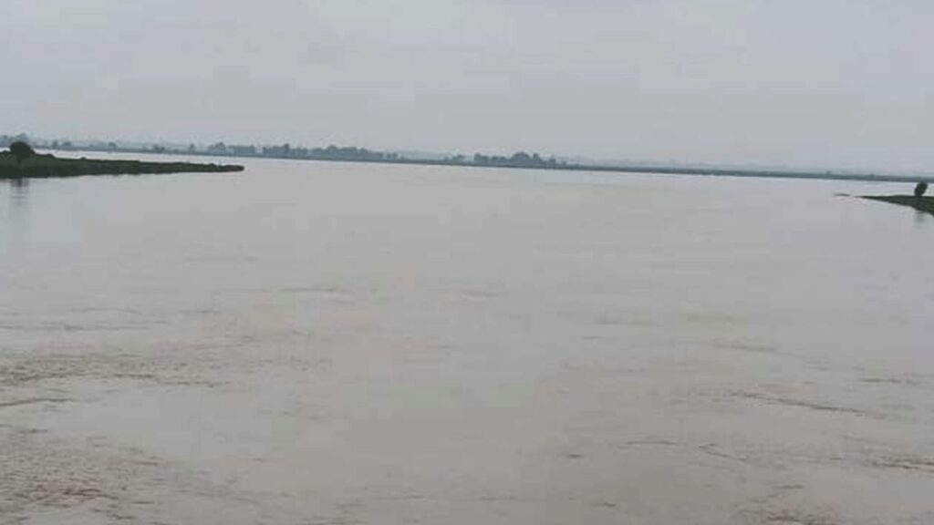 भैंस नहलाते समय पैर फिसला