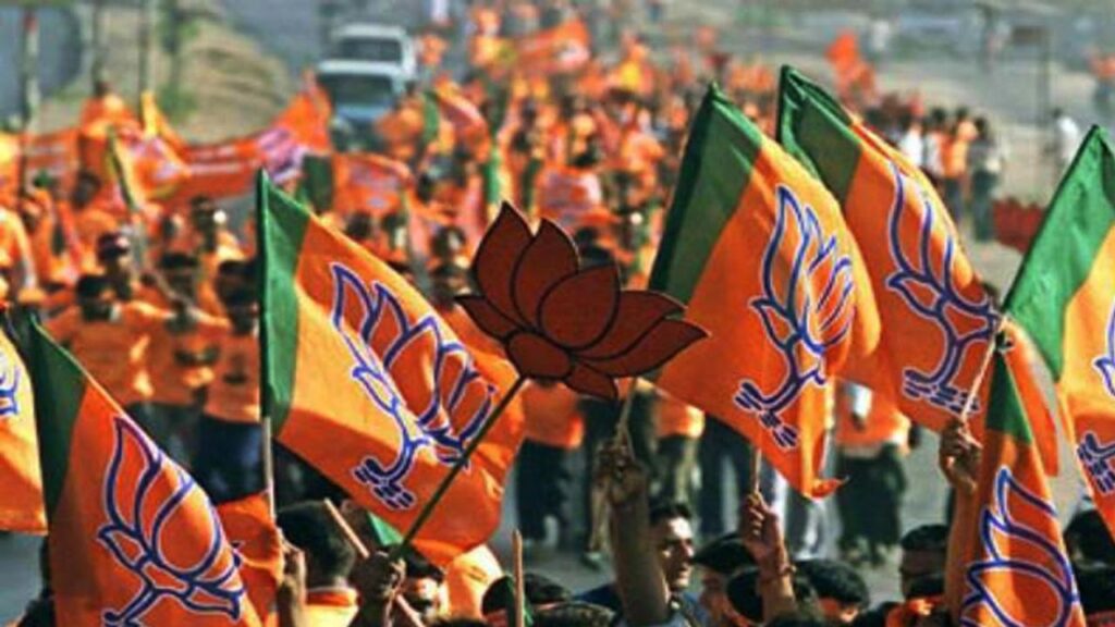BJP Flags