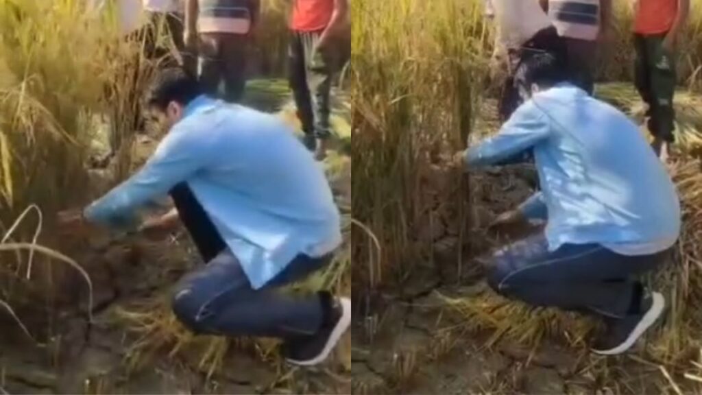 DM Savin Bansal himself harvested paddy along with the farmers.