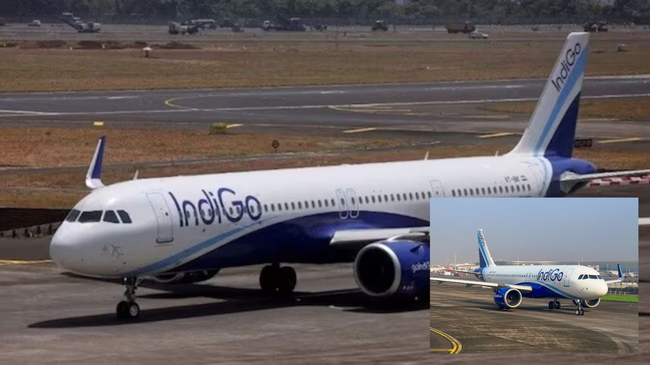 Indigo flight