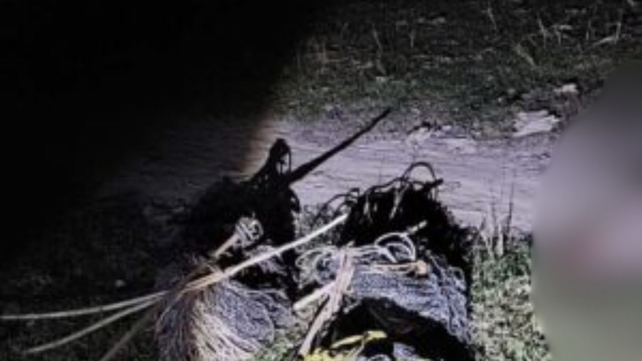 महराजगंज में वन विभाग की बड़ी कार्रवाई, जंगली सूअर का शिकारी गिरफ्तार, कई फरार