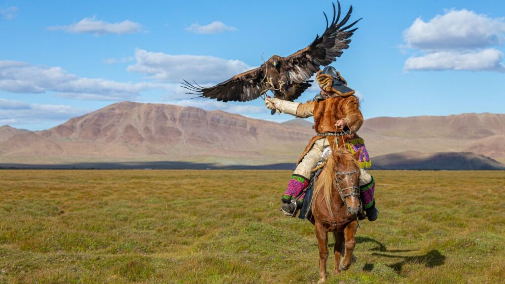 Mongolian hawk