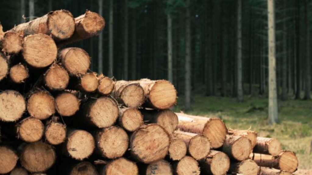 Sandalwood Smuggling