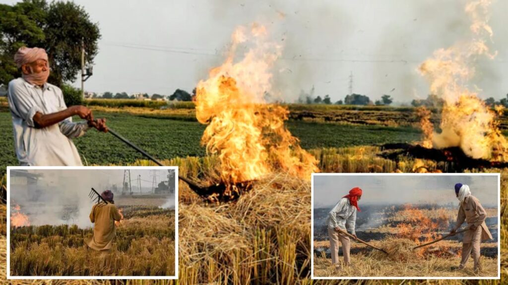 Stubble Burning
