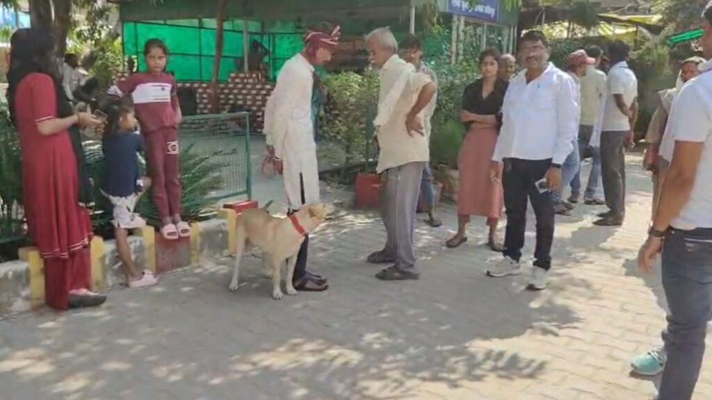 Dog in police custody