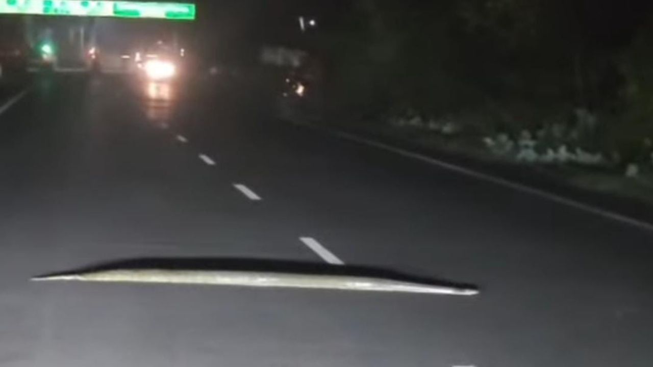 Maharajganj News: अचानक राष्ट्रीय राजमार्ग पर थम गई रफ्तार, वाहन चालक हुए दंग; आखिर ऐसा क्या हुआ?