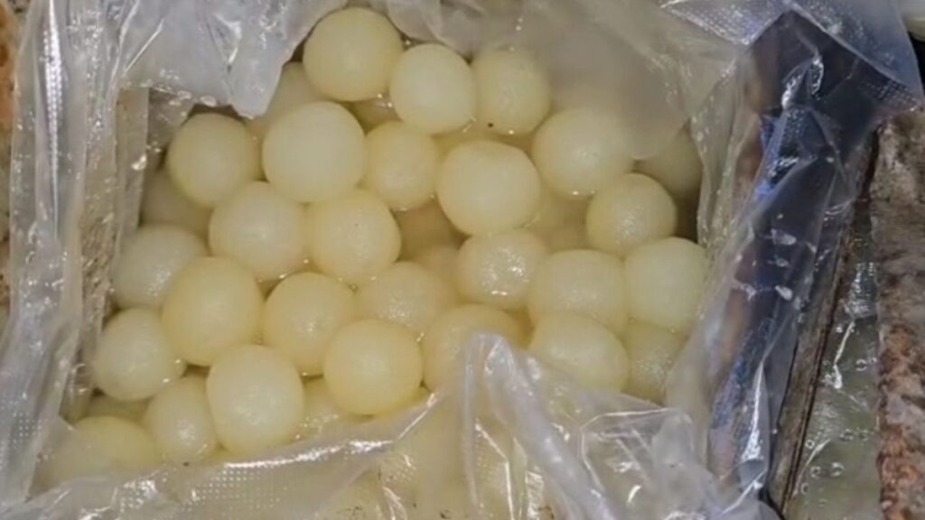 Rasgulla containing adulterated starch recovered