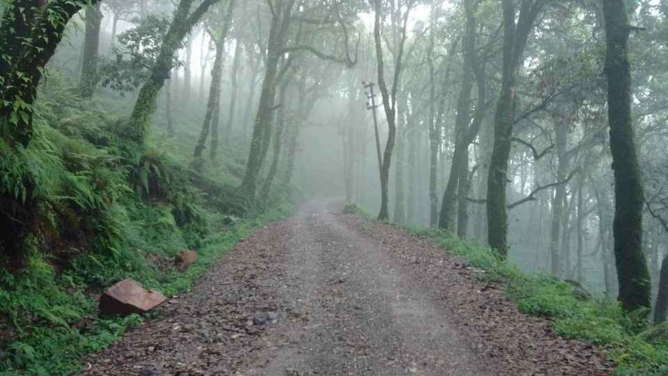 नैनीताल क्षेत्र में सड़क निर्माण का काम तेज, विधायक ने CM Dhami को किया धन्यवाद