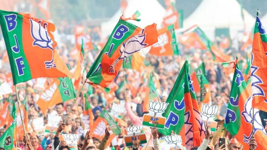 BJP Flags