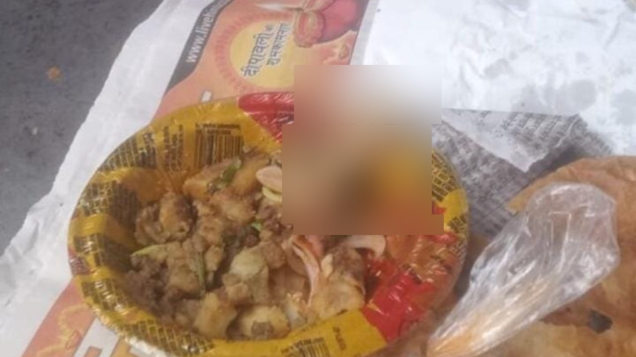 Barabanki News: सब्जी मे निकली छिपकली, ग्राहक की तबियत खराब, दुकानदार हिरासत में  