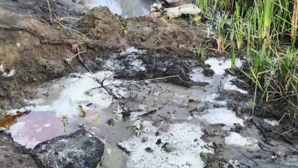 Bhilwara Abkari Police Illegal Liquor 