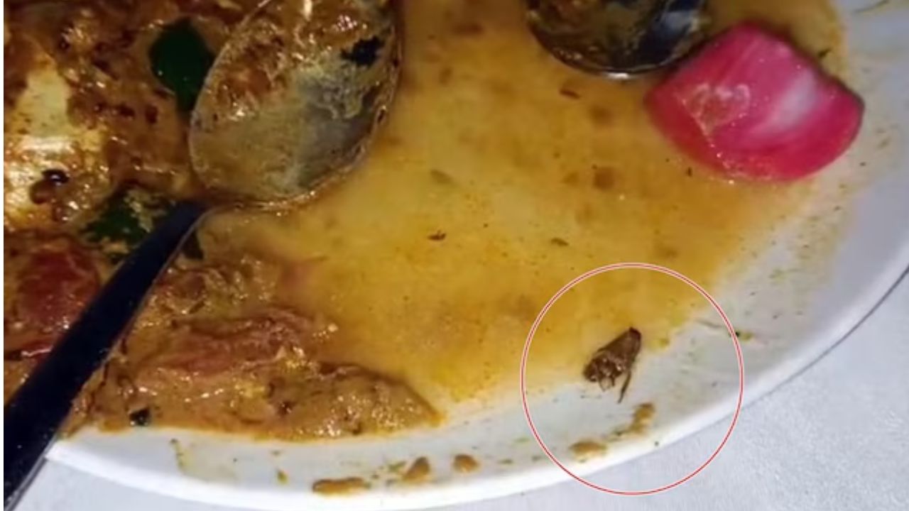 A cockroach was found in the food at a hotel in Himachal Pradesh.