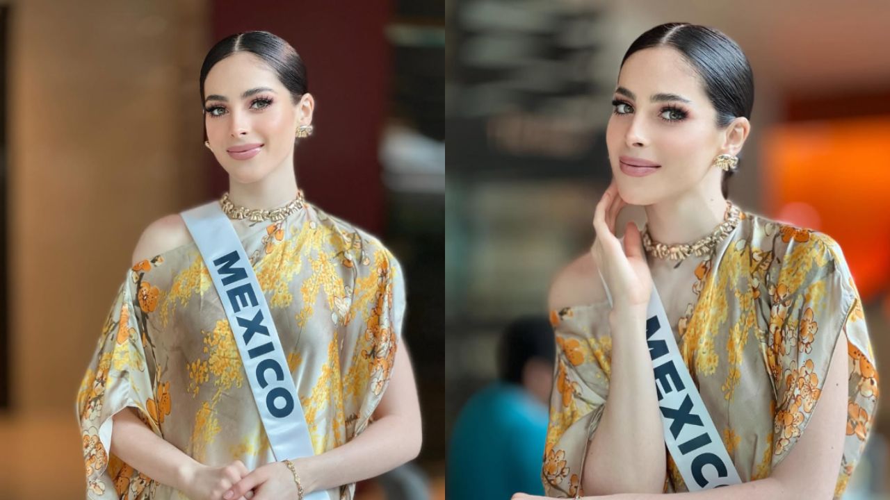 फातिमा का मेकअप बेहद नैचुरल लेकिन इम्पैक्टफुल दिखा। स्मोकी आईज और न्यूड टोन ने उनके लुक को और भी एलीगेंट बना दिया। (img-insta/fatimaboschfdz)