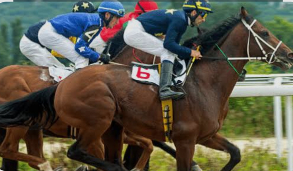 Gorakhpur News: शैरो में घोड़ा रेस से पहले बढ़ा तनाव, परंपरा की धरती पर वर्चस्व की दस्तक