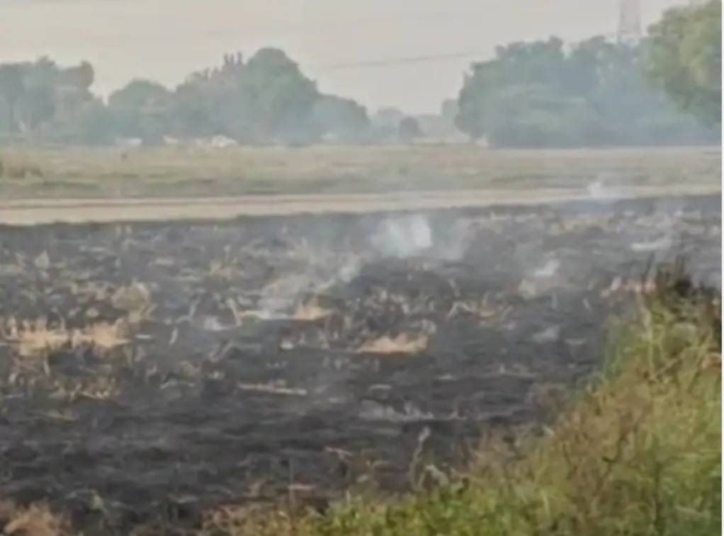 फतेहपुर में पराली जलाने पर प्रशासन का सख्त रुख, 59 किसानों पर 3.52 लाख का जुर्माना