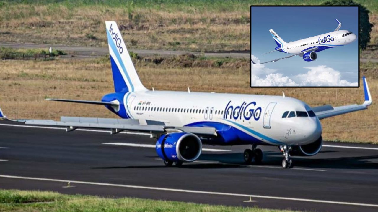 IndiGo News
