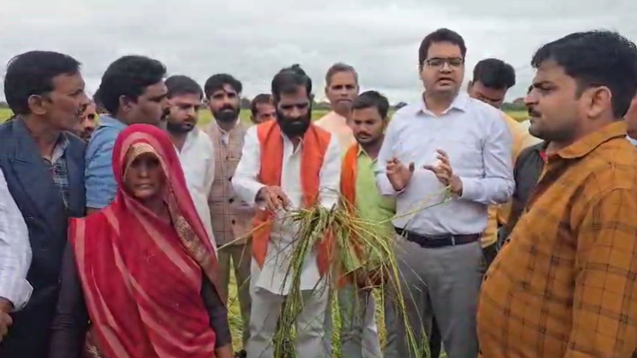 बुंदेलखंड में बरसात बनी किसानों के लिए मुसीबत, पानी में डूबी फसल; सरकार से लगाई मदद की गुहार