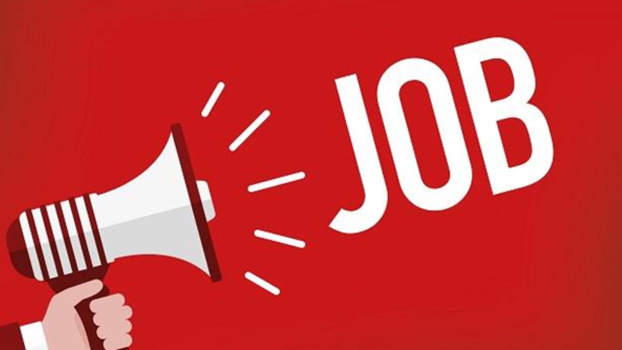 MJP Recruitment 2025: 290 सरकारी पदों पर भर्ती शुरू, कौन-कौन कर सकता है अप्लाई? वेतन जानकर आप भी चौंक जाएंगे