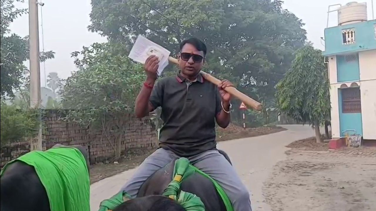 Bihar Election 2025: भैंस पर बैठा वोटर बना स्टार! वैशाली में केदार यादव का देसी स्टाइल हुआ वायरल