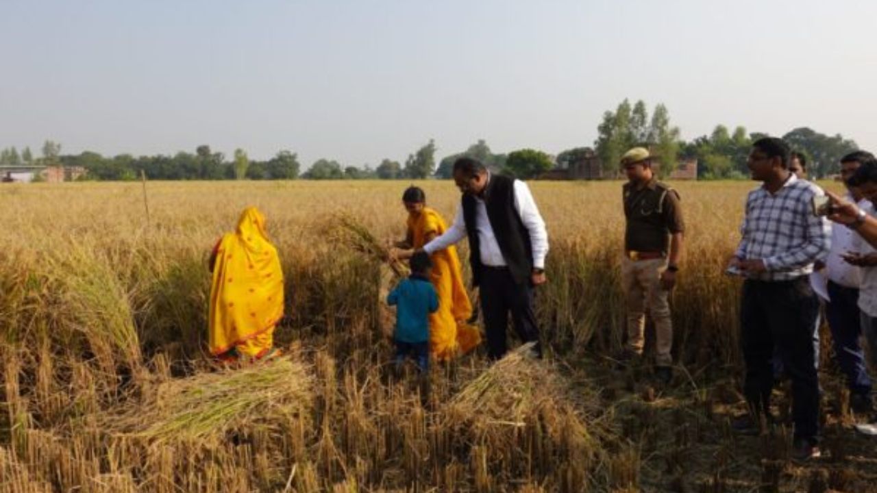 डीएम ने क्रॉप कटिंग प्रयोग का किया निरीक्षण, कृषि उत्पादकता के सटीक आंकड़े जुटाने पर जोर