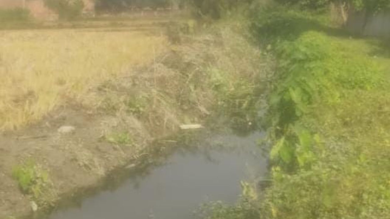 Maharajganj: कागजों में नहर सफाई पूरी, मौके पर आधा-अधूरा, किसानों में भयंकर आक्रोश; जानें पूरा मामला