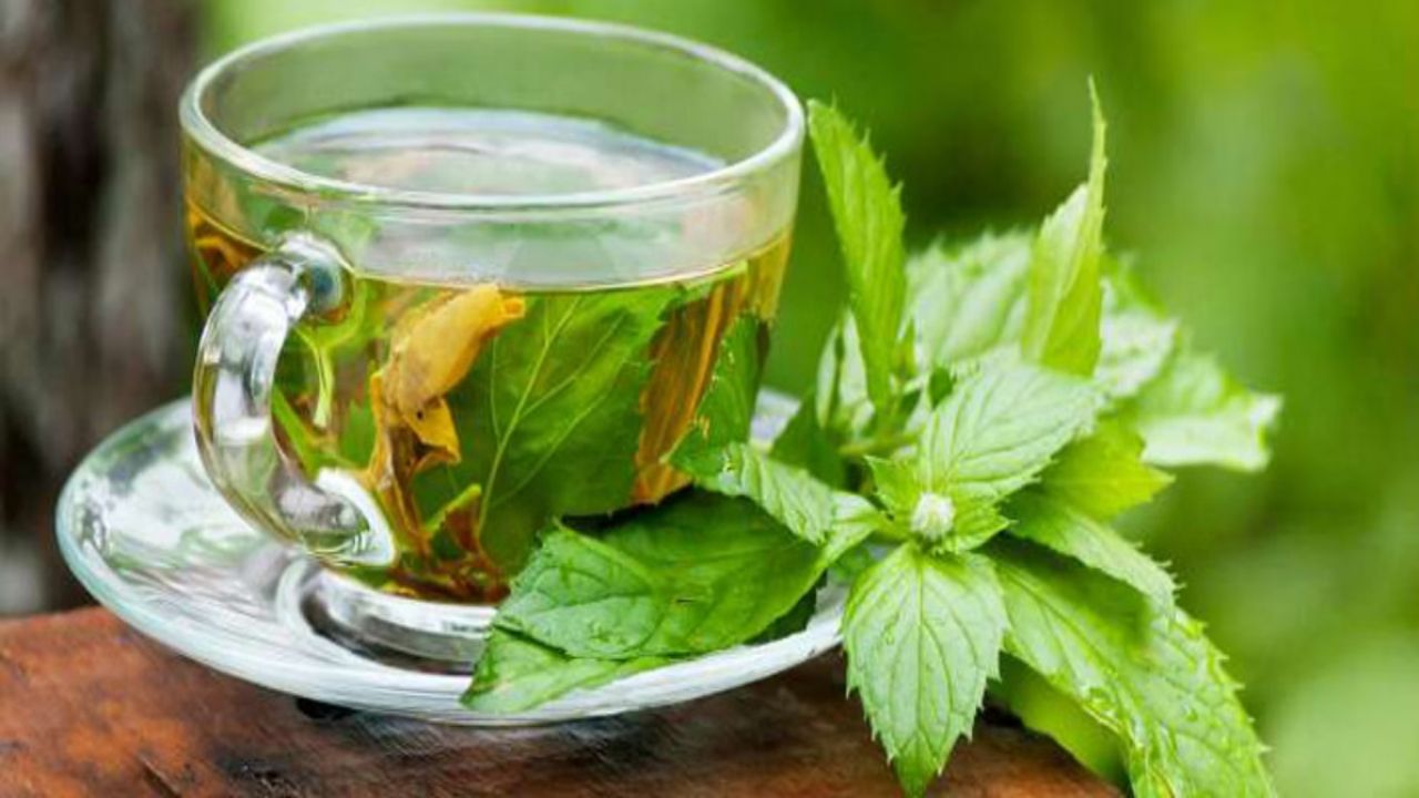 पुदीने की चाय पाचन को शांत करती है और गैस बनने की समस्या कम करती है। इसकी ताज़गी भरी खुशबू भी पेट को हल्का महसूस कराती है। (Img source: Google)