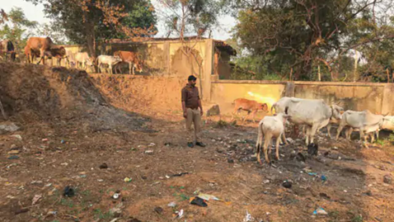 Uttar Pradesh: सोनभद्र में 5 पशु तस्कर गिरफ्तार, 17 गोवंश बरामद