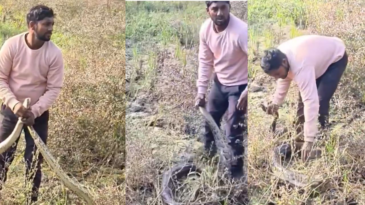 Maharajganj News: खोन्हौली गांव में विशाल अजगर का आतंक, सर्प रेस्क्यू टीम ने सुरक्षित किया रेस्क्यू