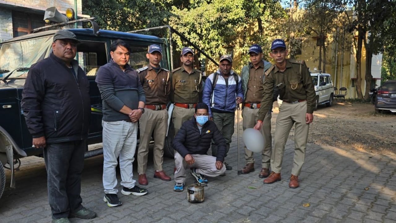 रुद्रप्रयाग में हिमालयन गोरल शिकार मामला: वन विभाग की कार्रवाई से आरोपी हिरासत में, जानें कैसे पकड़ा गया बदमाश