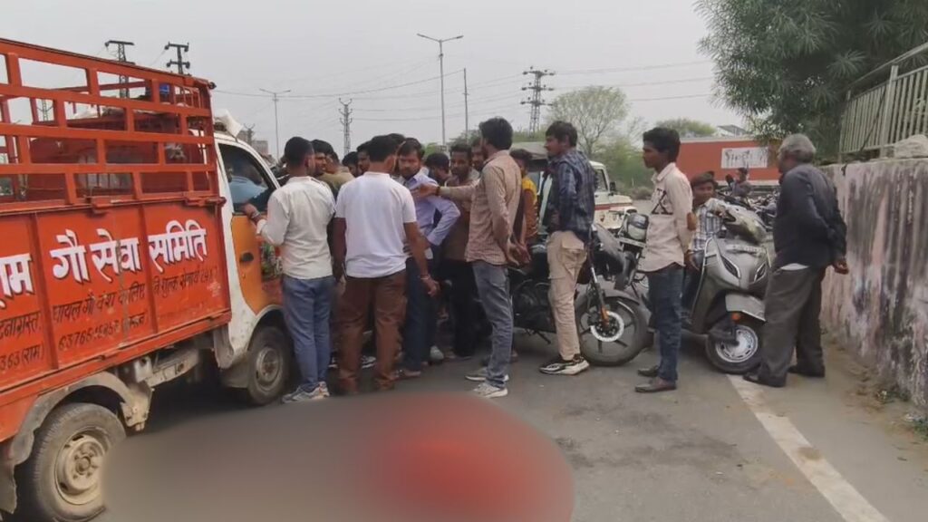 Cows die after being hit by a truck