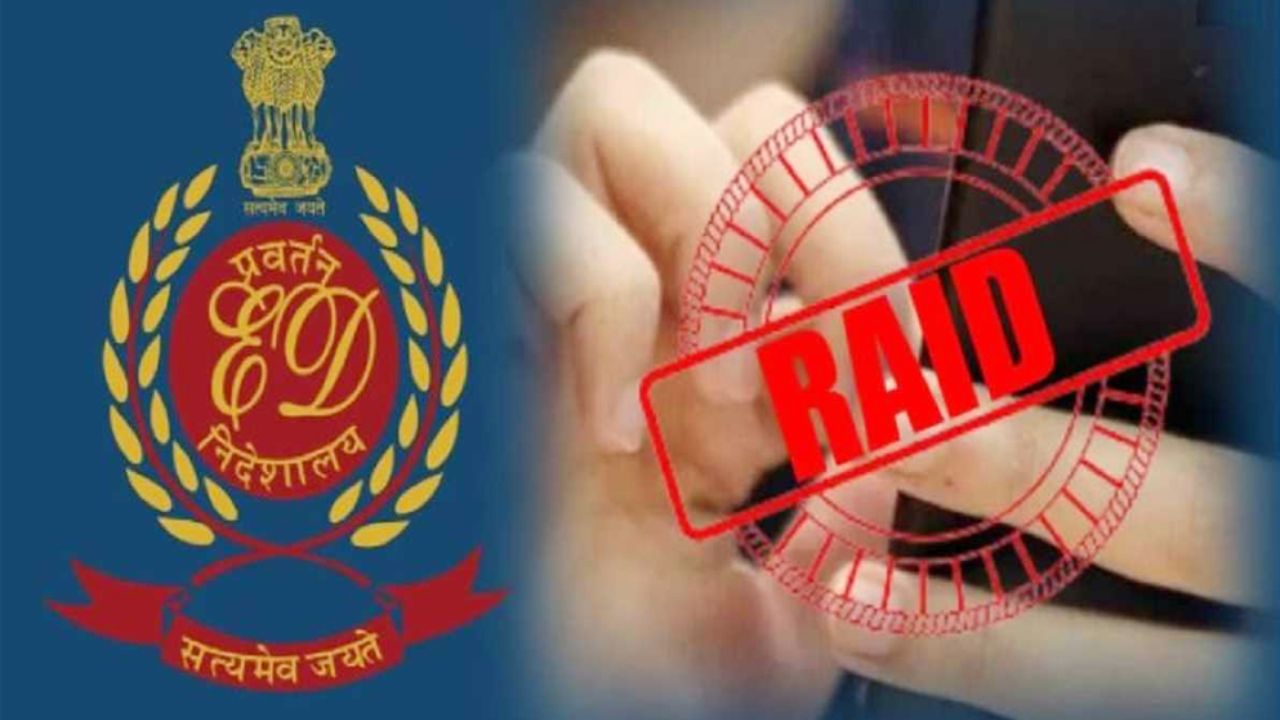 फर्जी डिग्री केस: ED की UP समेत कई जगहों पर छापेमारी, माफियाओं-संस्थानों पर शिकंजा, जानें पूरा अपडेट